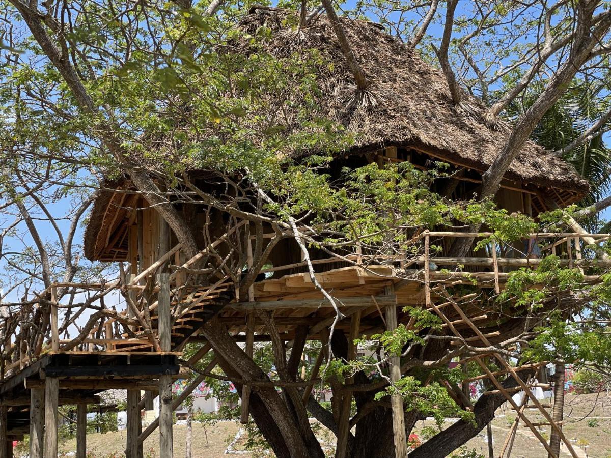 Antonio Beach Tree House Hotel & Spa Ероа Экстерьер фото