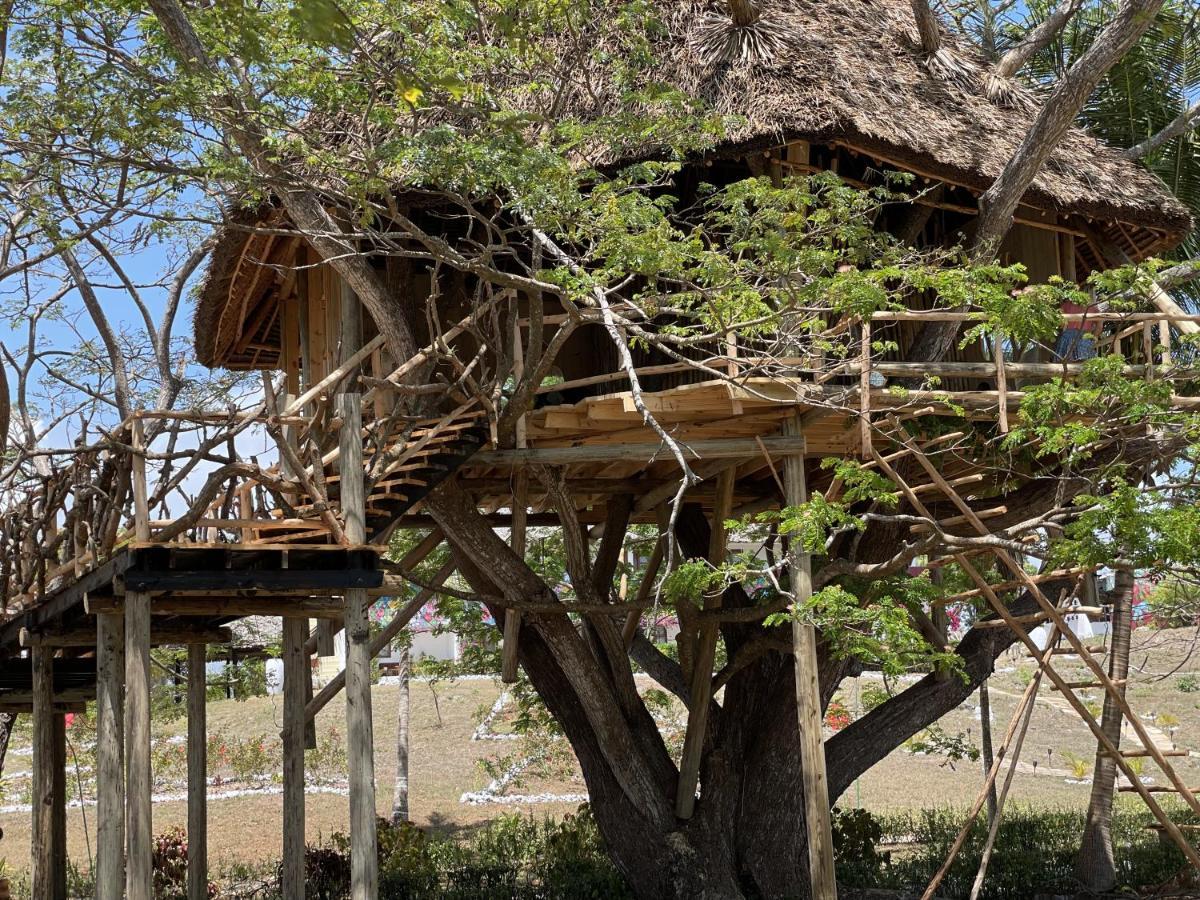 Antonio Beach Tree House Hotel & Spa Ероа Экстерьер фото