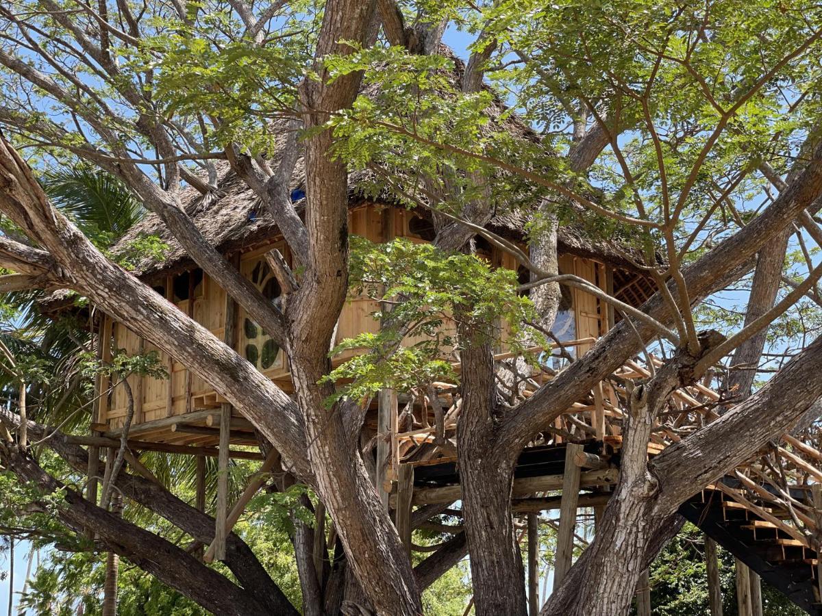 Antonio Beach Tree House Hotel & Spa Ероа Экстерьер фото