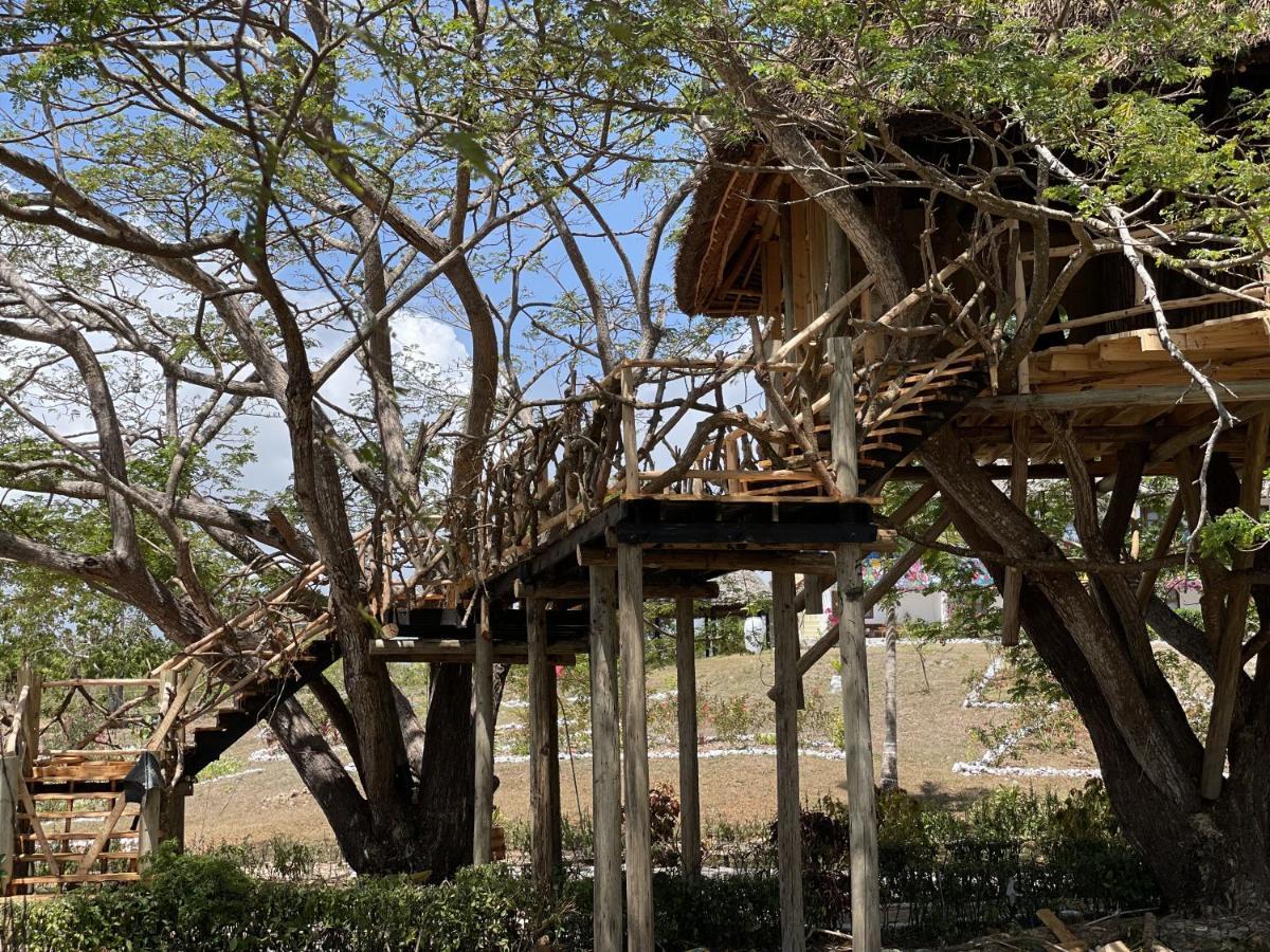 Antonio Beach Tree House Hotel & Spa Ероа Экстерьер фото